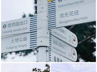 穿梭在城市中心，看最美的景色