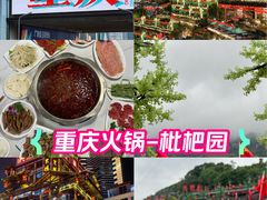 -枇杷园食为鲜火锅(南山店)
