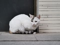 -烟桥私房菜馆(奋哥)