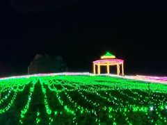 -大塘金香草谷