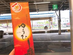 -币舞桥