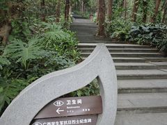 -南山植物园