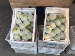 -唐桥水果批发市场