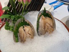 六头大连鲍鱼-鲐赏河豚(长寿店)