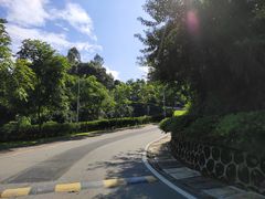 -火炉山森林公园