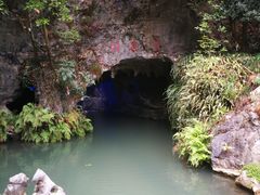 -灵栖洞天