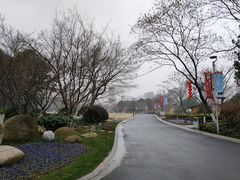 -青枫公园