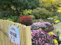 -汇龙潭