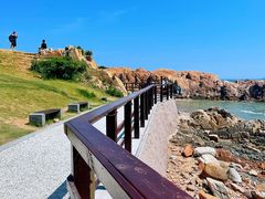 -小麦岛公园