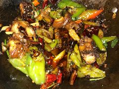 -宽窄巷子(米兰中央火车站店)