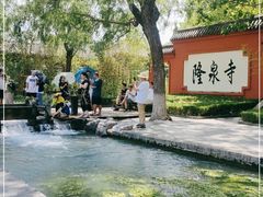 -百脉泉景区