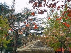 -北京石刻艺术博物馆(五塔寺)