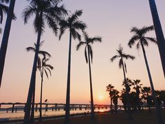 景点-海堤纪念公园