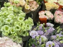 -双季花艺园艺市场(浦东店)