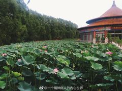 -二一九公园