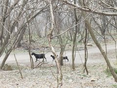 -南山风景名胜区