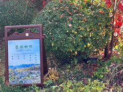 -云端咖啡(山顶教堂店)