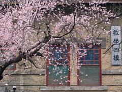 -山东大学(趵突泉校区)