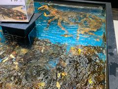 -盒马鲜生(宝地店)