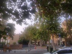 -山东省青岛第二中学(江西路分校)