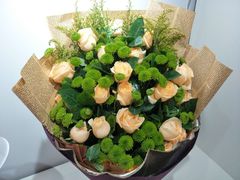 -至尚形象·化妆服饰搭配礼仪培训