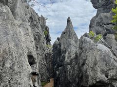 -千岛湖石林