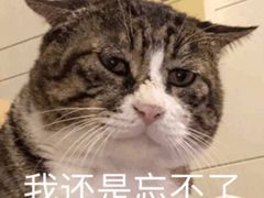 -蜀都小君肝串串香火锅(龙华旗舰店)