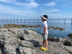 -星海湾跨海大桥