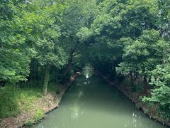 -同里国家湿地公园
