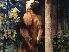 -陕西自然博物馆