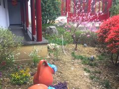 -祝家花園(伯渎港店)