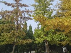 -大连植物园
