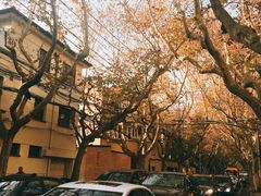 -RAC BAR(安福路店)