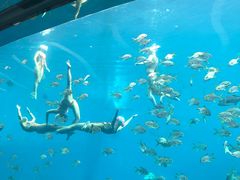 -瑞德姆美人鱼海底演艺主题餐厅(亚龙湾店)