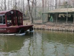 -溱湖国家湿地公园