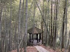 -丹山赤水风景名胜区