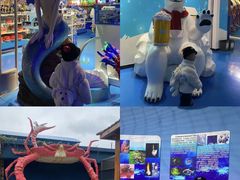 -泉城欧乐堡海洋极地世界