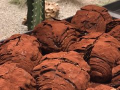 -OUR Bakery(SKP-S店)