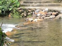 -梅州天地人花园酒店(梅县人民广场店)