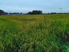 -中国天府农业博览园