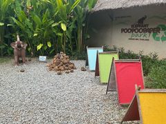 -大象粑粑造纸公园