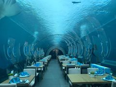 -涛·海底餐厅·美人鱼·自助餐·海底隧道(三亚海棠湾洲际度假酒店)