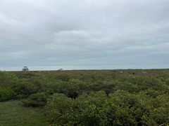 -北海金海湾红树林生态旅游区