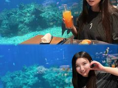 -涛·海底餐厅·美人鱼·自助餐·海底隧道(三亚海棠湾洲际度假酒店)