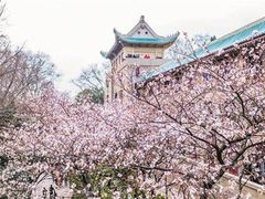 -武汉大学-樱园