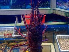 -东江海鲜大排档·潮汕菜·砂锅粥