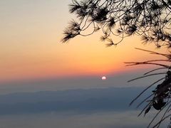 -缙云山景区