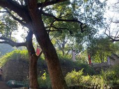 -宁波市保国寺古建筑博物馆