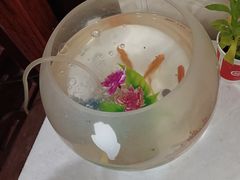 -裕和堂中医推拿艾灸(太古汇臻品店)
