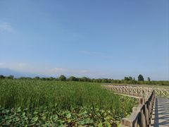 -野鸭湖国家湿地公园